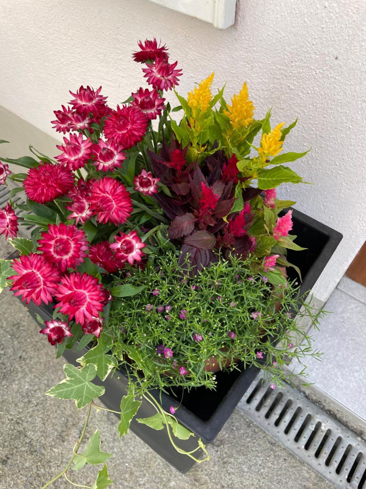 Ferienwohnung Emma An Der Romantischen Strasse Weikersheim Kültér fotó